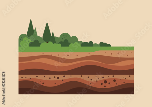 Soil Layers with Vegetation: A Cross-Sectional View of Earths Composition.