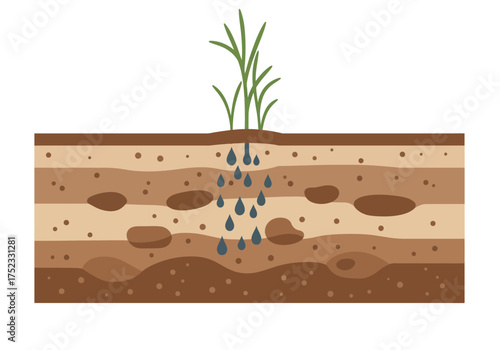 Soil Layers with Plant and Water Droplets Illustration.