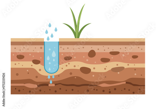 Soil Layers with Water Infiltration and Plant Growth Illustration.