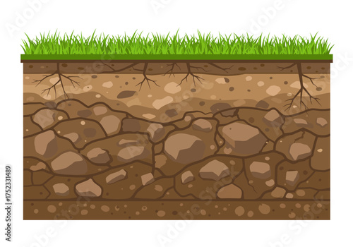 Soil Layers with Grass: A Cross-Sectional View of Earth.