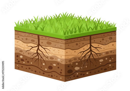 Soil Layers with Grass and Roots Illustration.
