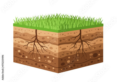 Soil Profile with Grass and Root System Illustration.