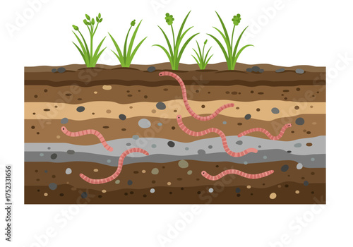 Earthworms in Soil Layers with Plants Illustration.