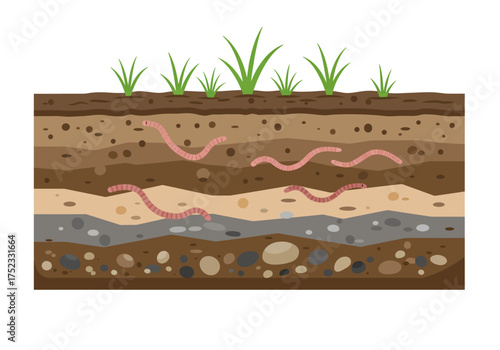 Soil Layers with Earthworms and Grass Illustration.