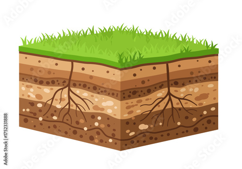 Soil Layers with Grass and Roots Illustration.