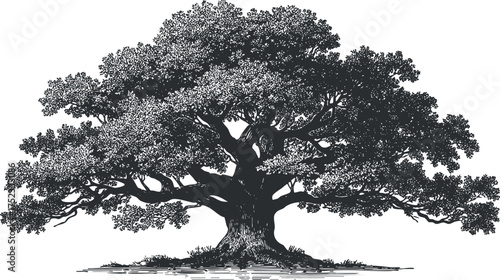 Silhouette of a majestic oak tree with sprawling branches and dense foliage, symbolizing strength.