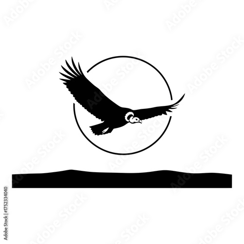 Condor bird flying in circle silhouette isolated on white background