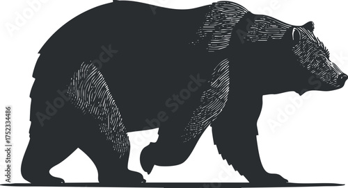 Silhouette of a bear walking, showcasing its powerful and majestic presence in nature.