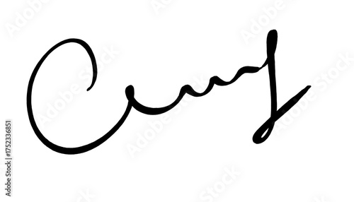 Hand-drawn black signature isolated on transparent background. Realistic handwritten autograph with smooth ink line for documents, branding, or digital design. PNG