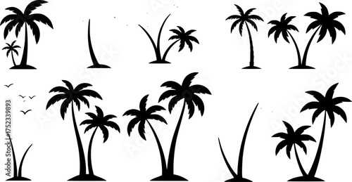 Vector graphic with a set of stylized palm trees, perfect for a tropical, beach, or vacation-themed design.
