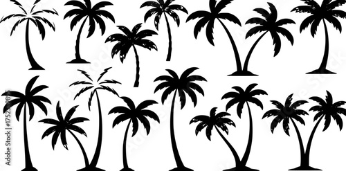 Vector graphic with a set of stylized palm trees, perfect for a tropical, beach, or vacation-themed design.
