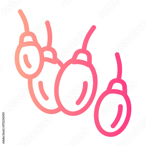 goji berry gradient icon