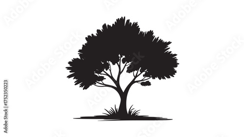 Silhouette of a deciduous tree vector illustration in black and white isolated on a white background