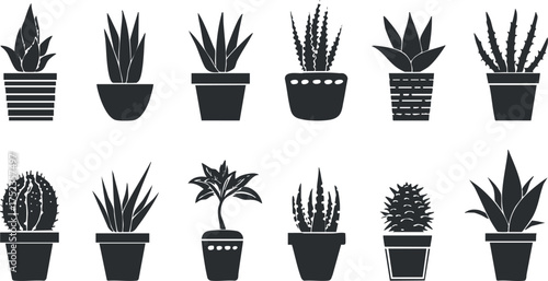 Black and white silhouettes of various potted cacti and succulents arranged in a minimalist style.