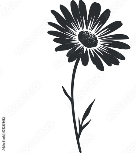 Black and white silhouette of a daisy flower with detailed petals and stem.