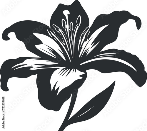 Black and white silhouette illustration of a blooming lily with detailed petals and leaves.
