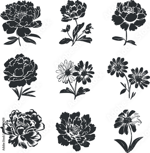 Vector silhouettes of various flowers including peonies and daisies in black and white.