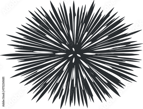Abstract black and white starburst design with spiky radial pattern on a white background.