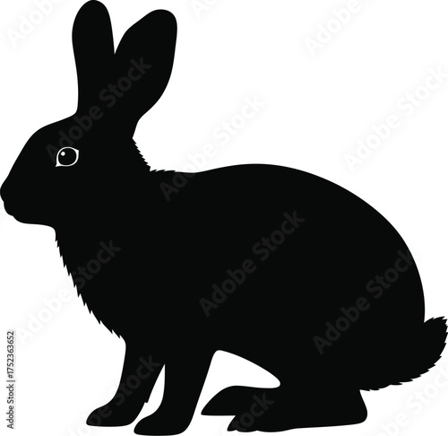 Silhouette of a Rabbit Sitting Alertly.