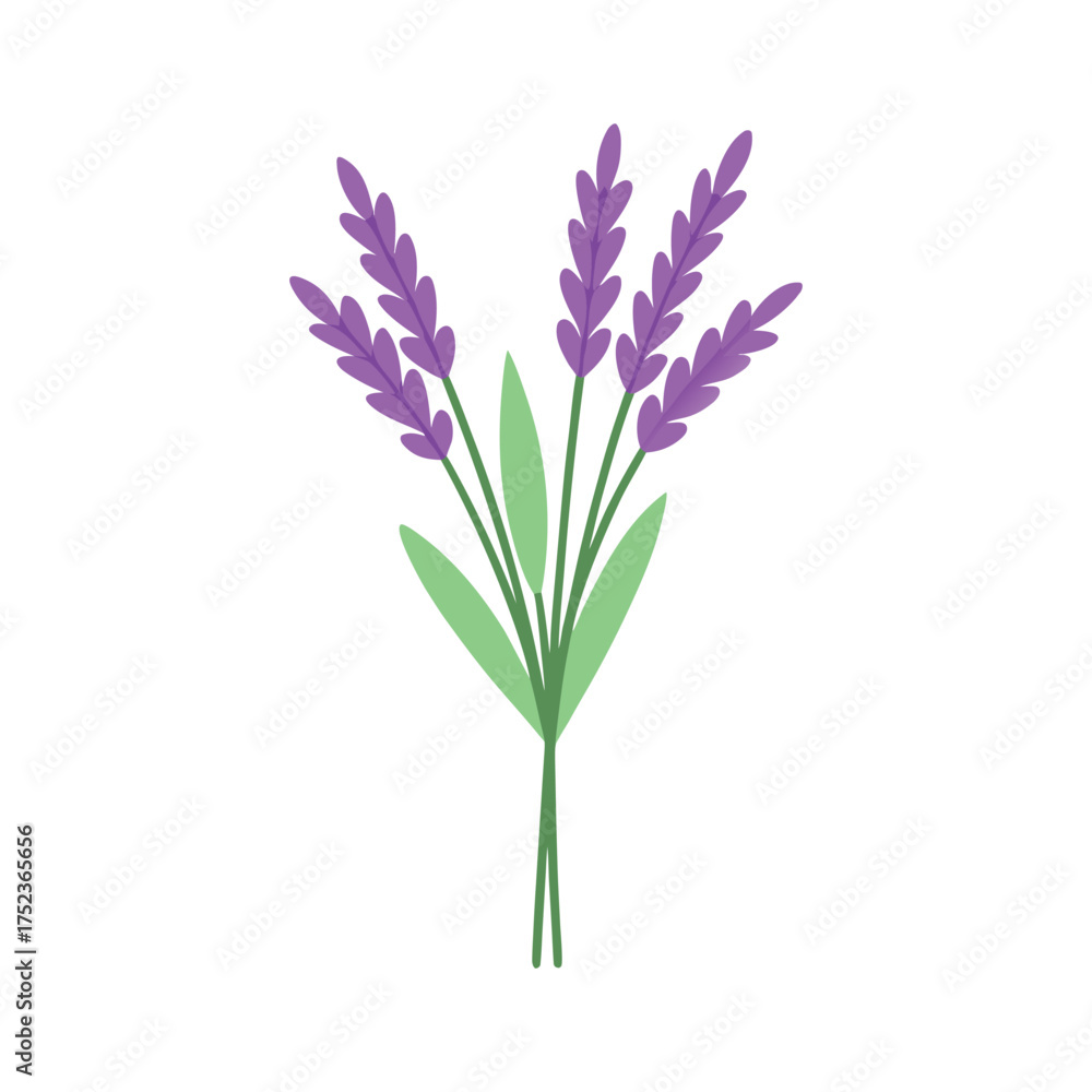 Fototapeta premium lavender plant bouquet vector art 