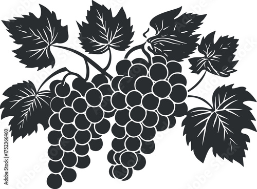 Silhouette of grape clusters with leaves, showcasing a botanical design in black and white.