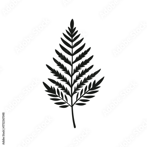 fern leaves botanical line art vector silhouette