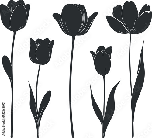 Black and white silhouette of tulips, showcasing elegant floral design and botanical elements.