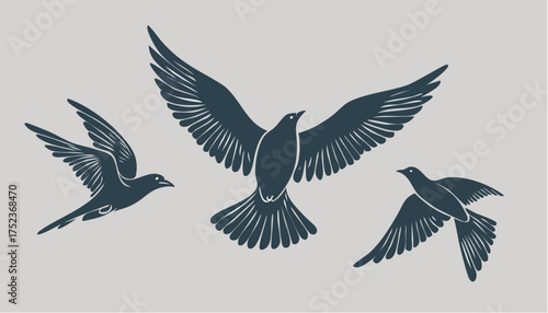 Black vector silhouette of a flying eagle and dove with outstretched wings as illustration of a bird symbol of peace