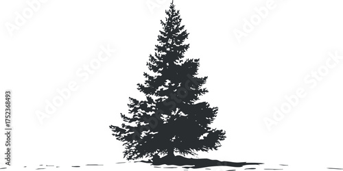 Silhouette of an evergreen conifer tree on a white background, emphasizing natural simplicity.