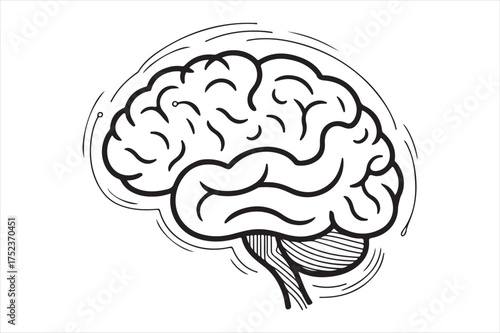 Stylized line art of human brain silhouette a white background