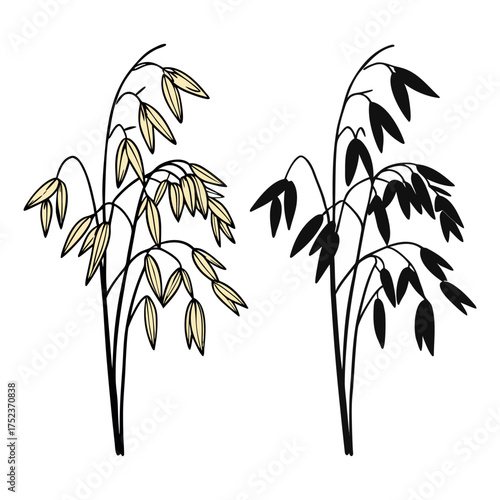 Two sprigs of golden oats are depicted against a dark brown backdrop. The oats, rendered in a stylized watercolor illustration, exhibit a warm, inviting palette of yellows, golds, and creams. The left