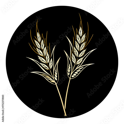 Two sprigs of golden oats are depicted against a dark brown backdrop. The oats, rendered in a stylized watercolor illustration, exhibit a warm, inviting palette of yellows, golds, and creams. The left