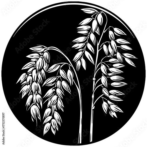 Two sprigs of golden oats are depicted against a dark brown backdrop. The oats, rendered in a stylized watercolor illustration, exhibit a warm, inviting palette of yellows, golds, and creams. The left
