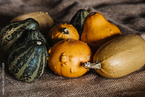 Yellow & Green Mini Decorative Pumpkins