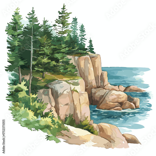 Acadia National Park. Acadia National Park hand drawn watercolor illustration
