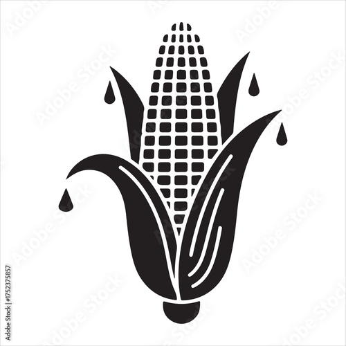 Corn cob with water droplets graphic element silhouette a white background