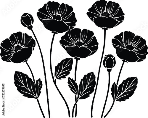set of black poppy flower silhouettes in vector st