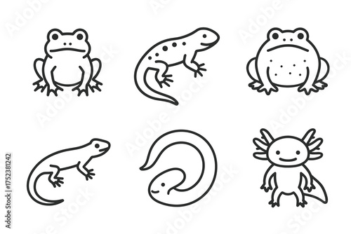 Black and white line art of amphibious creatures: frogs, salamanders, newts, and axolotl