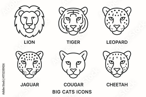 Outline icons of big cats: lion, tiger, leopard, jaguar, cougar, cheetah