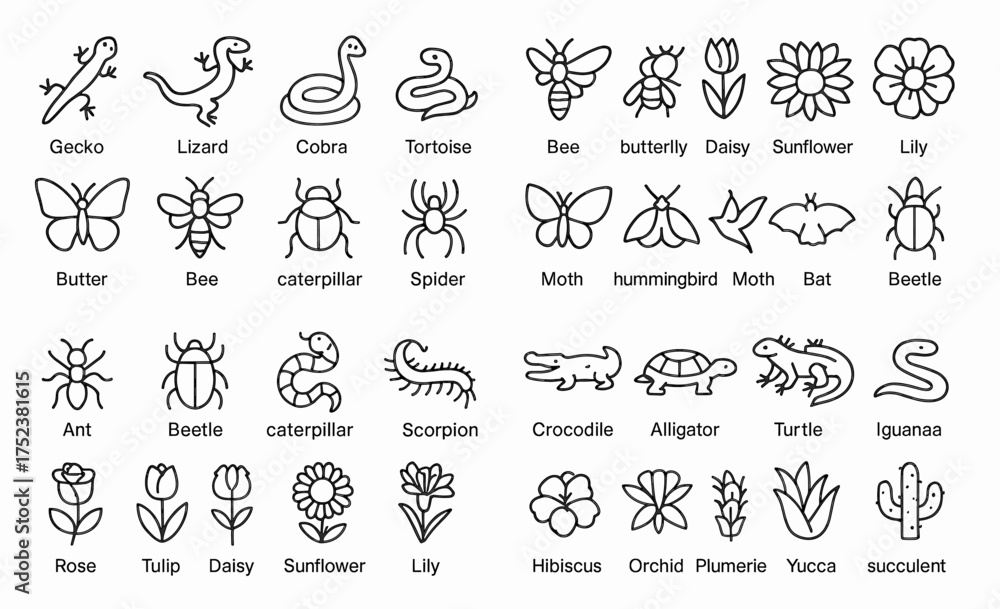 Fototapeta premium Desert outline icons collection: animals, insects, flowers