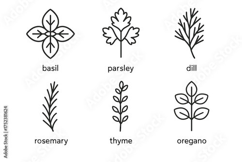Herb icons: basil, parsley, dill, rosemary, thyme, oregano