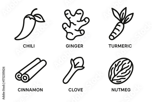 Chili, ginger, turmeric, cinnamon, clove, nutmeg spice icons in black and white