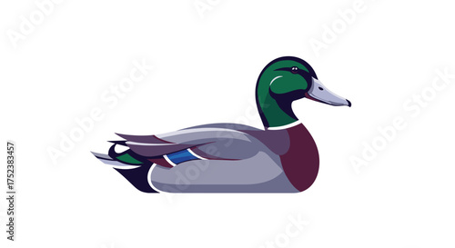 A mallard duck is floating peacefully on the water with its head turned