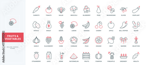 Vegetable, berry and fruit line icons set. Organic harvest of tomato carrot broccoli eggplant potato pear apple cabbage thin black and red outline symbols, farm garden collection vector illustration