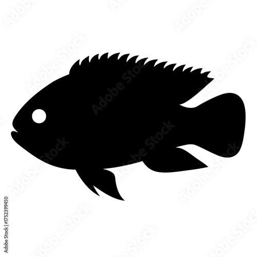 Scalable vector illustration of a colorful dwarf cichlid fish an aquatic dweller for nature and marine themes silhouette