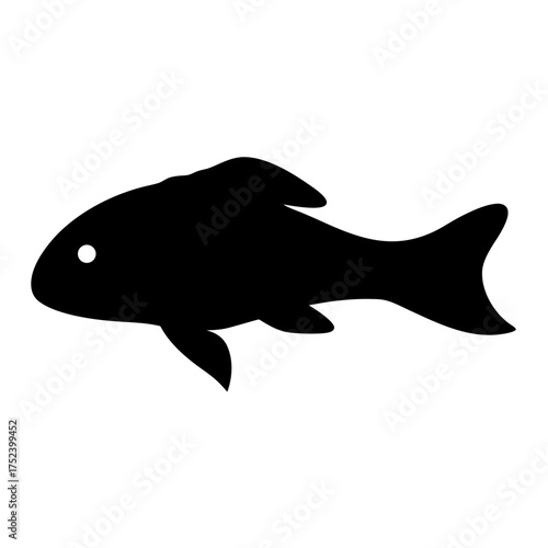 Silhouette of a black dwarf cichlid fish with a single white eye detailed view