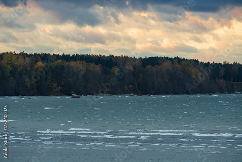 Obraz na plátně The rugged Estonian coastline with a colorful autumn forest meets the choppy waters of the Baltic Sea under a dramatic sky