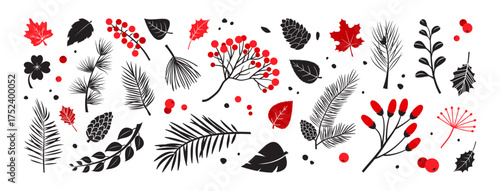 Autumn or winter plant. Branch, pine cone, leaves and holly berries, rowan, fir tree. Christmas floral icon, red and black doodle evergreen foliage set isolated on white bg. Nature vector illustration