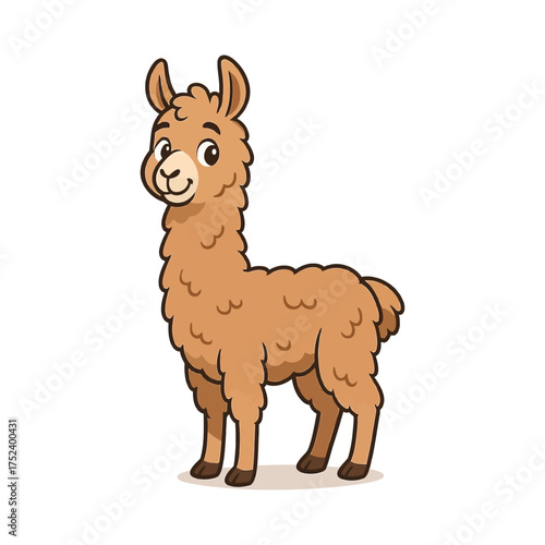 llamas in nature