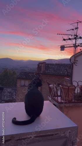 A black cat sits gracefully on a balcony overlooking an ancient Italian town surrounded by majestic mountains and a breathtaking red sunset, creating a scene full of charm and tranquility.